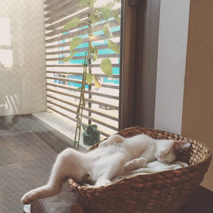 3c129462 16d3 42f4 b272 020984558561