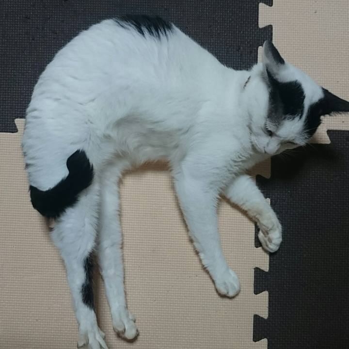 3c12beed 9591 4dbf 977d 66ea23dc1127