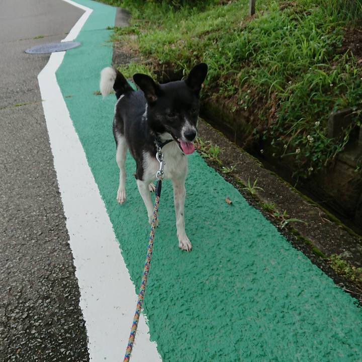 3c1482e6 4b25 47a8 a2a7 a7046814efed