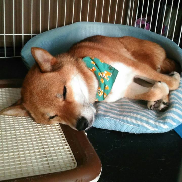 3c148e82 bbe8 4c62 81a8 ea0d1eabd7f8