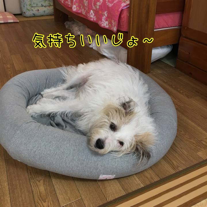 3c149ad9 1680 459f 9045 181428badd5f