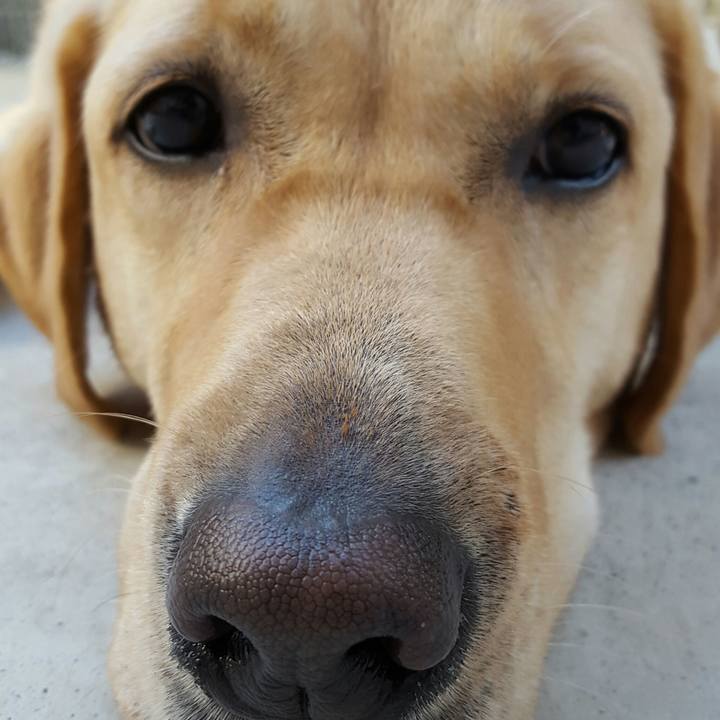 3c16298c a09f 49ce 9d81 3a7adcff1aaf