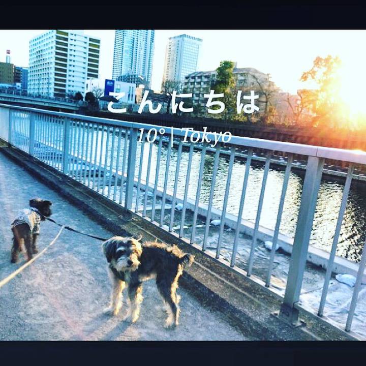 3c171a08 e76b 411c a475 ef2234abbb07