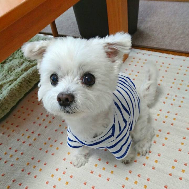 3c188aee 3b61 4b49 97d1 5f1d803af4e2