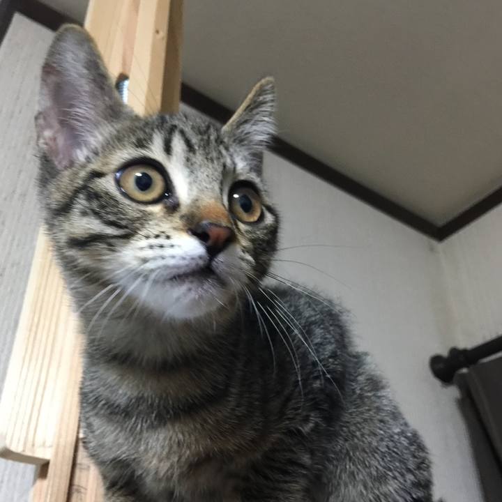 3c18d0f7 fbfa 421d bc6e ef6674c8e4e8