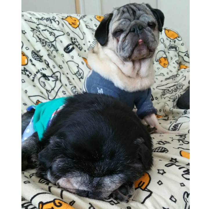 3c19631a 08c6 4c12 a21e 5ee8a1e40a90