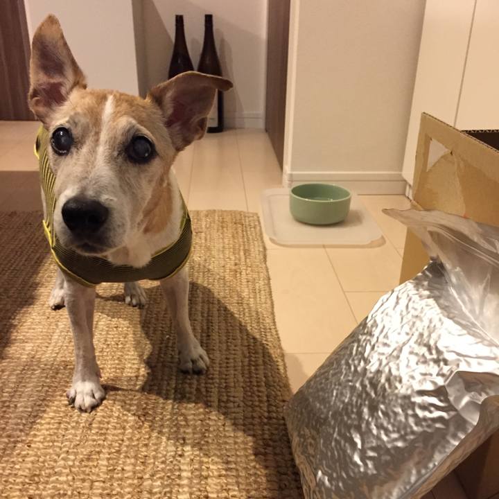 3c1a12c6 8728 4253 8f2a c8efa627f991