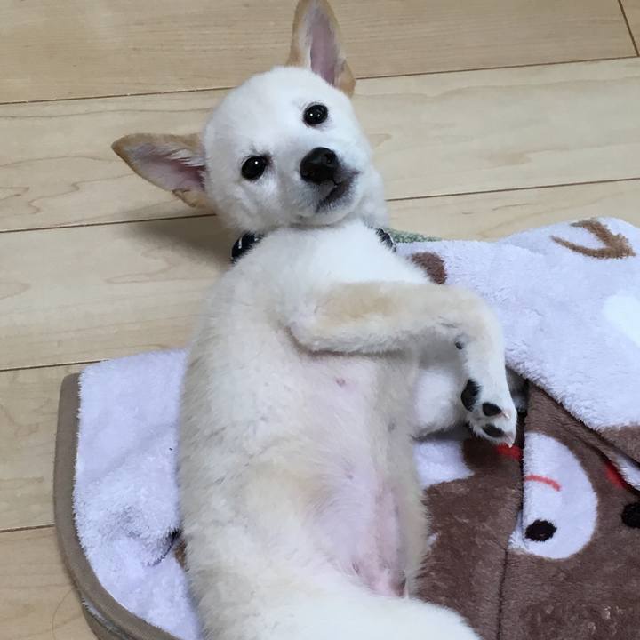 3c1b21ef c601 4ea3 8e50 7da897ca8507