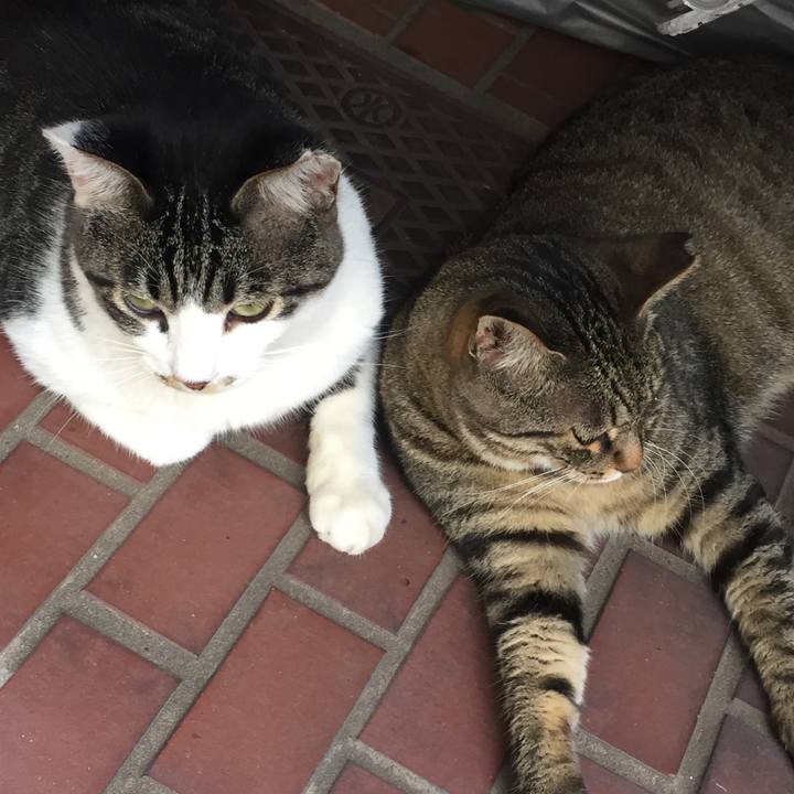 3c1b8db0 434d 4795 979d 4ca0e4cf6281