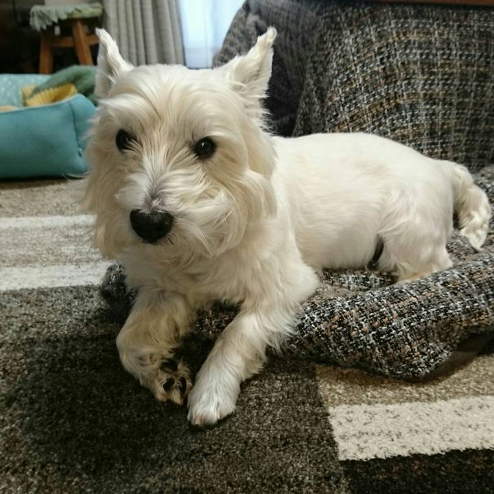 3c1ba722 dffe 4924 b999 4f3c89a7a60a