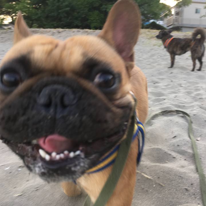 3c1be9ec 3b7b 43a0 8fc8 be74fbbdc2ee