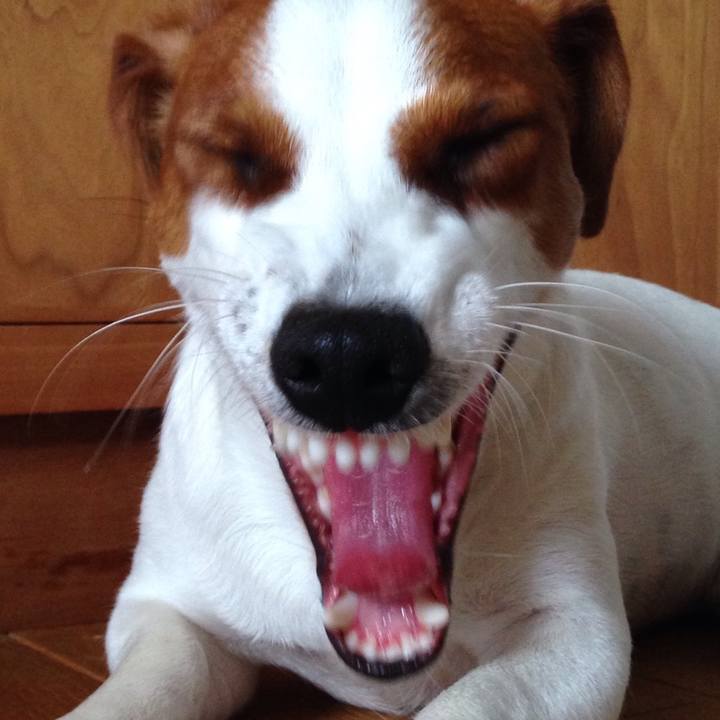 3c1c13de f0c3 486f 8fad 2725f35d2f99