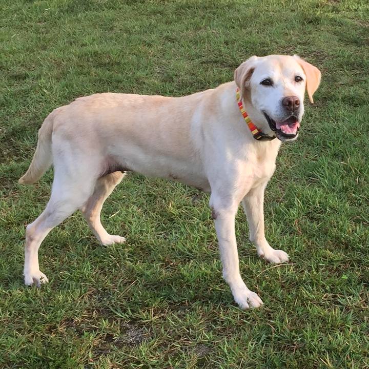 3c1c250c a9fa 4bae 9aea 9dcccfb18d74