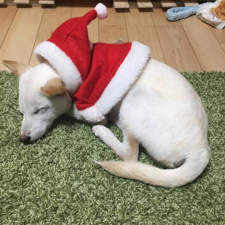 3c1c6421 1b97 4789 aa79 7805b2a52231