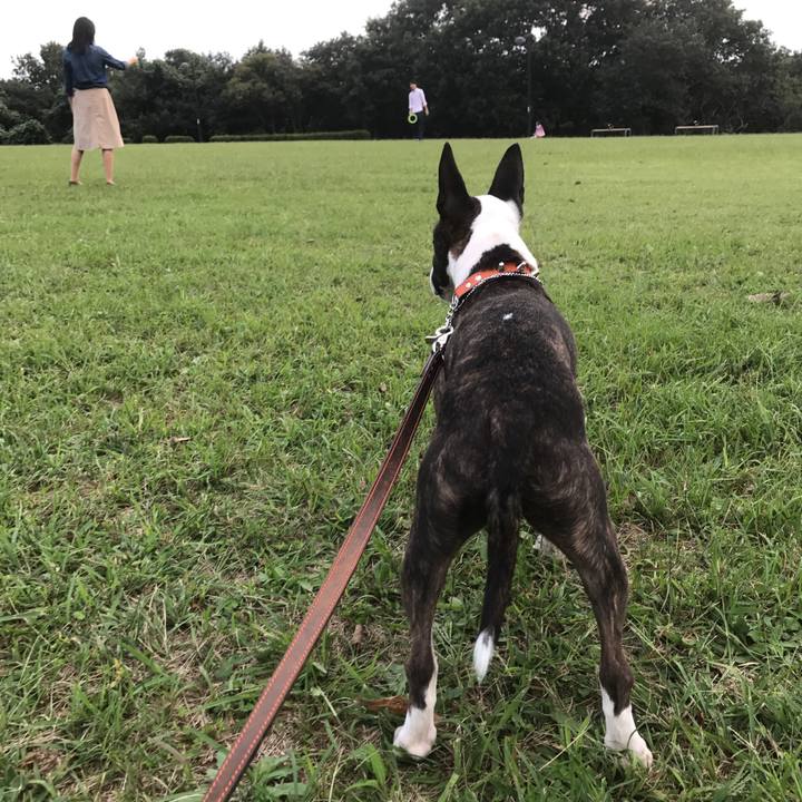 3c1dd2b9 2a42 4f04 ba72 386e32b21e11