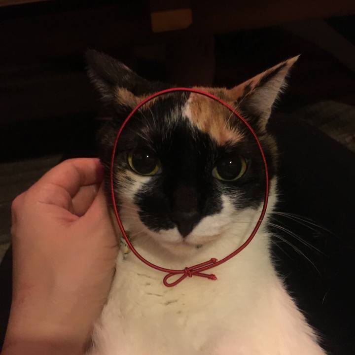 3c1df7ab 728d 4f53 92fa e9825a36d3c3