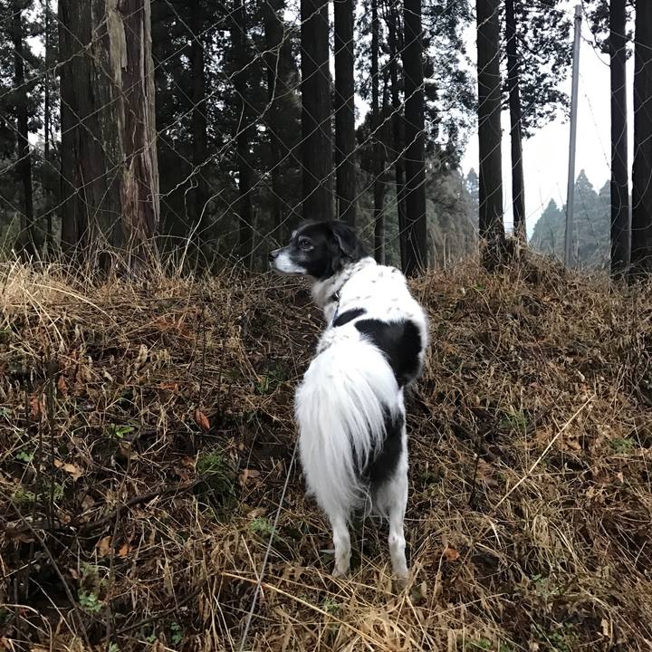 3c1dfd0b 94de 468a 9d15 1039ab9ef364