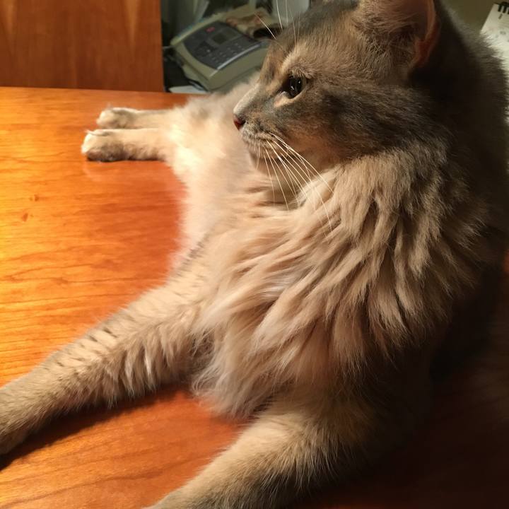 3c1e6b2a cdd0 4f92 b46c 700869609845