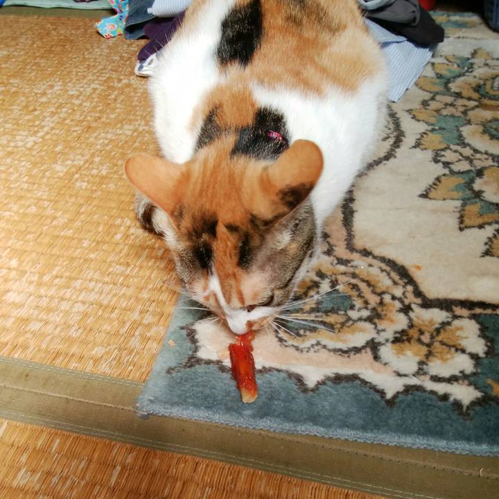 3c1e7f25 004a 4263 b4fb 8603e665982c