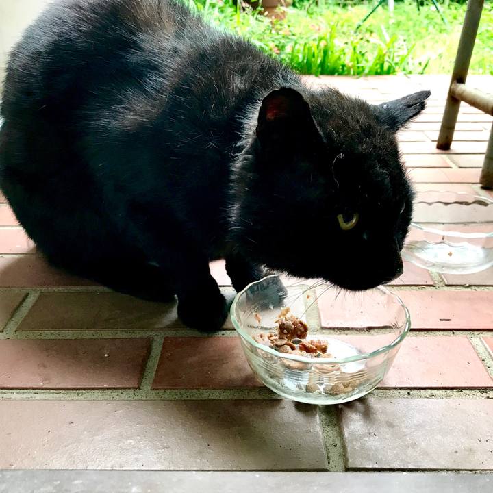 3c1e8ae9 95ed 4b88 bbff 2a4633618704