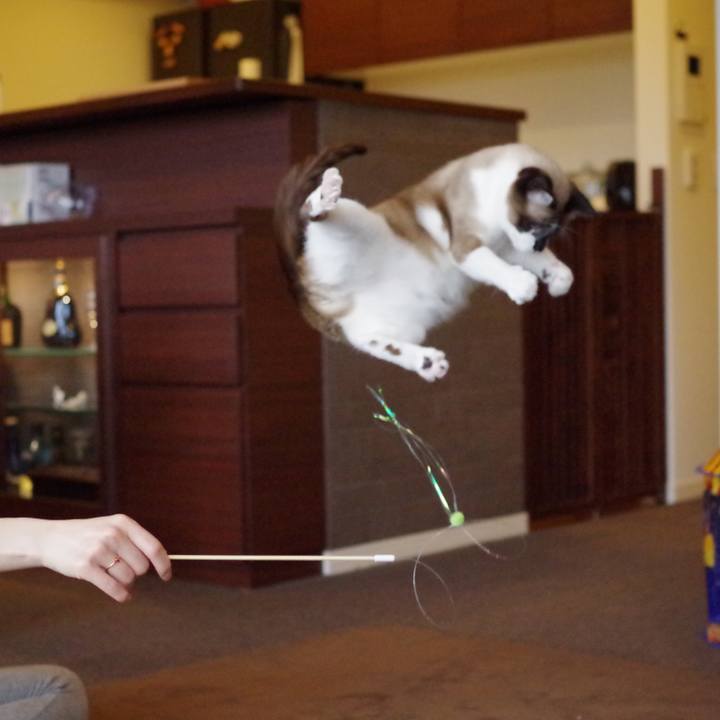 3c1ea978 a8bf 4490 a8b9 4b97191d40a2