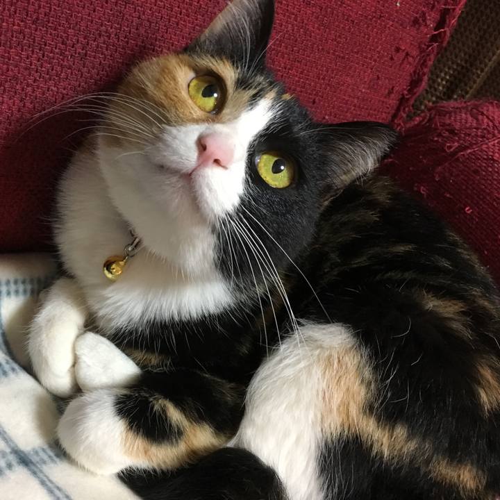 3c1eb9e3 f751 499a 805d d6b30d20717a