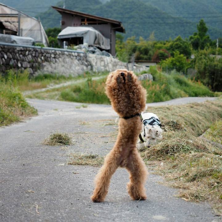 3c1f03e3 83fd 400d bd6e 508fd3b386d2