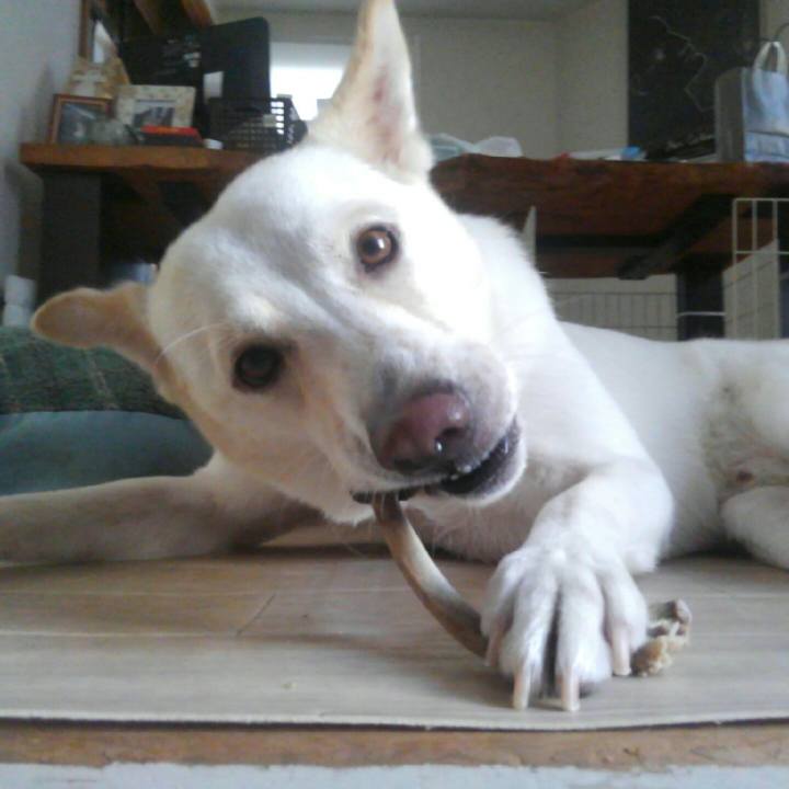 3c1f157d fb9d 4480 8895 fe6db39cc687