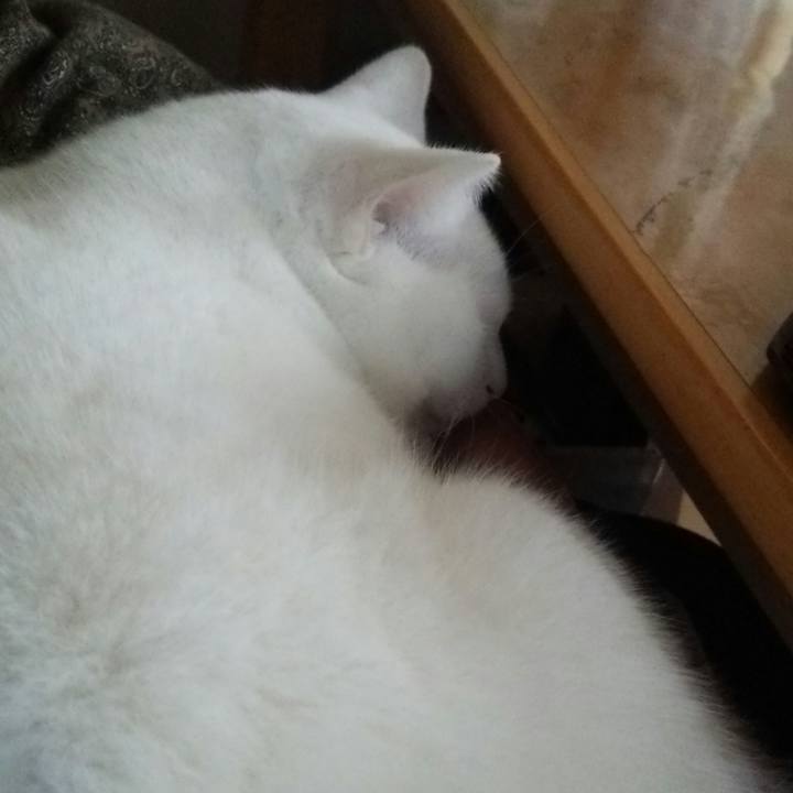 3c1f889b f7ea 4de8 92fd 253c12a481fe