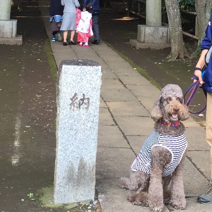 3c1fa14e 59ac 4d1b b122 773346b993cf