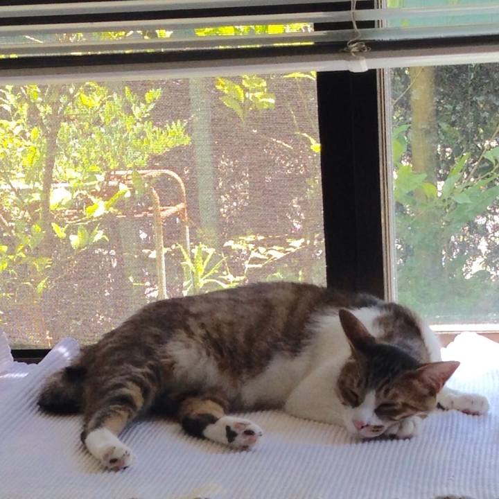 3c204fe6 762f 4258 9420 c21c12ae01ba