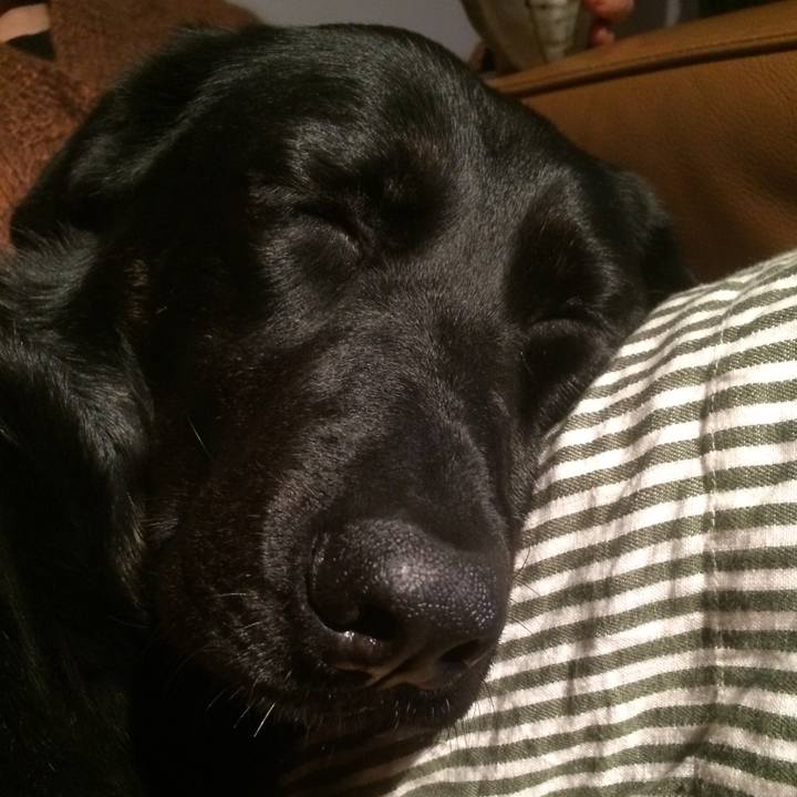 3c20888a 14ce 4c4b b2be 805f87fedeab