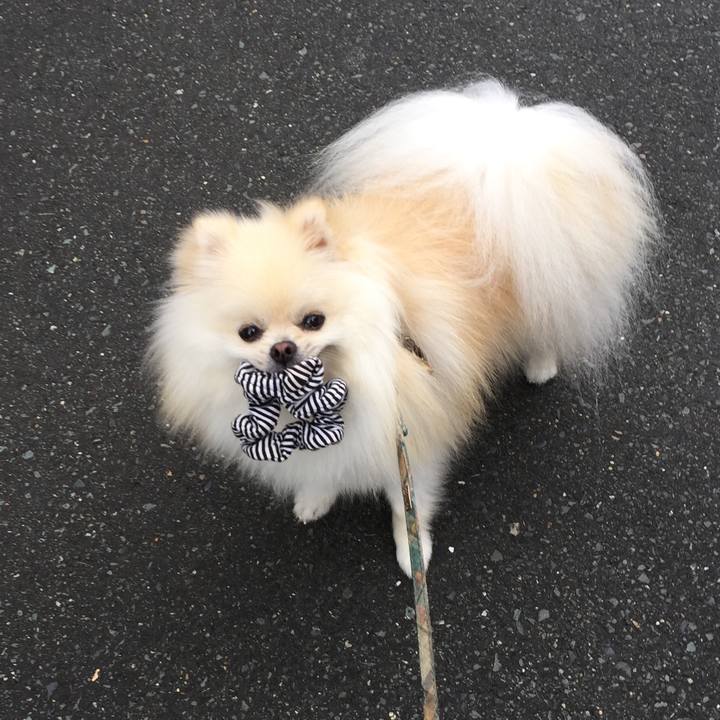 3c2113eb 1eb4 4b1d a65a 19a6a5c0990f