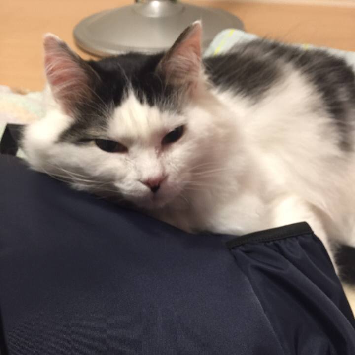 3c218096 5850 4709 81d3 011476bf0052