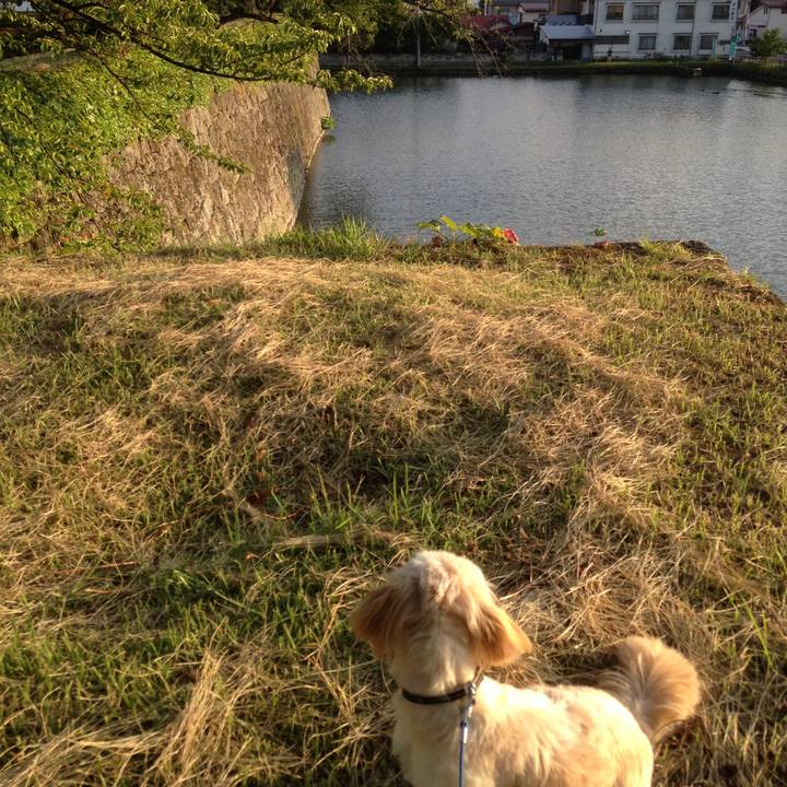 3c22139b 4a88 43a9 8279 bf373601fac4