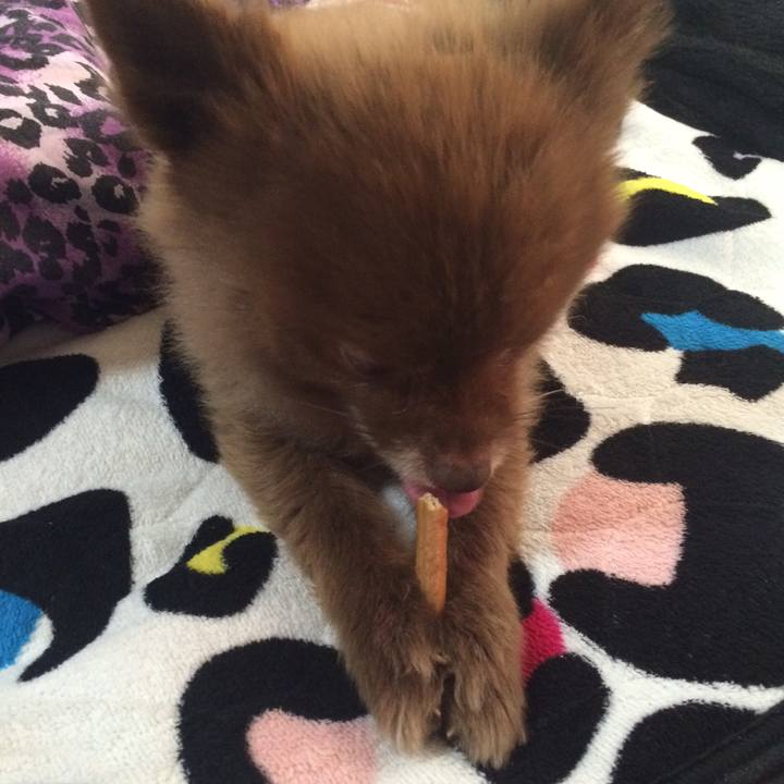 3c23e725 d470 48a2 ac82 63406b419dba