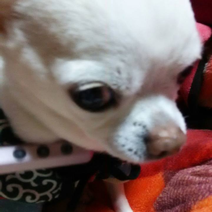 3c2408c6 923b 4873 9acb bb4bcd47cb61