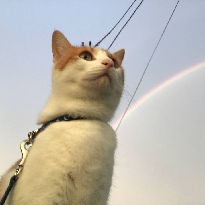 3c244f86 b137 475f 8904 de200dcd018c