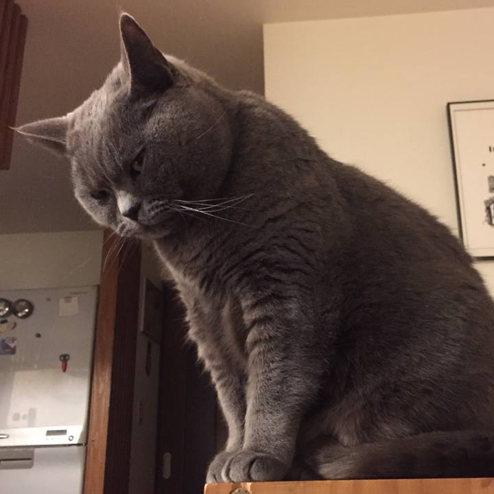 3c24558a 51ea 4689 87ed 7f8f6887c0e1