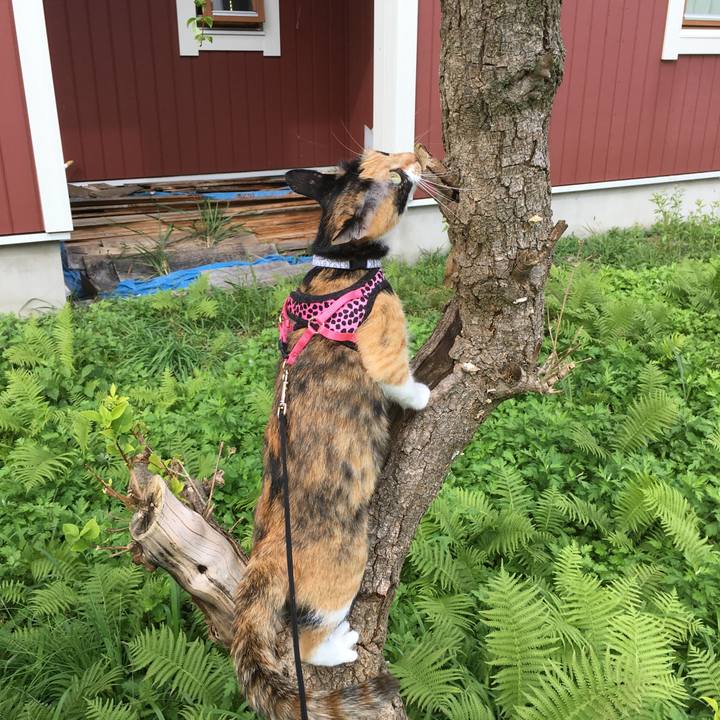 3c24ab43 3d79 45eb b129 299818776aa5