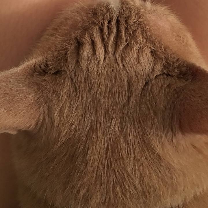 3c24ba61 30a7 4e40 8083 7ccbea93eb40