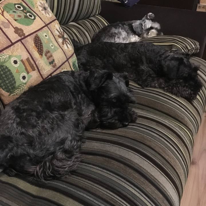 3c24e2ac 8829 4d7a a11f d9cddd949169