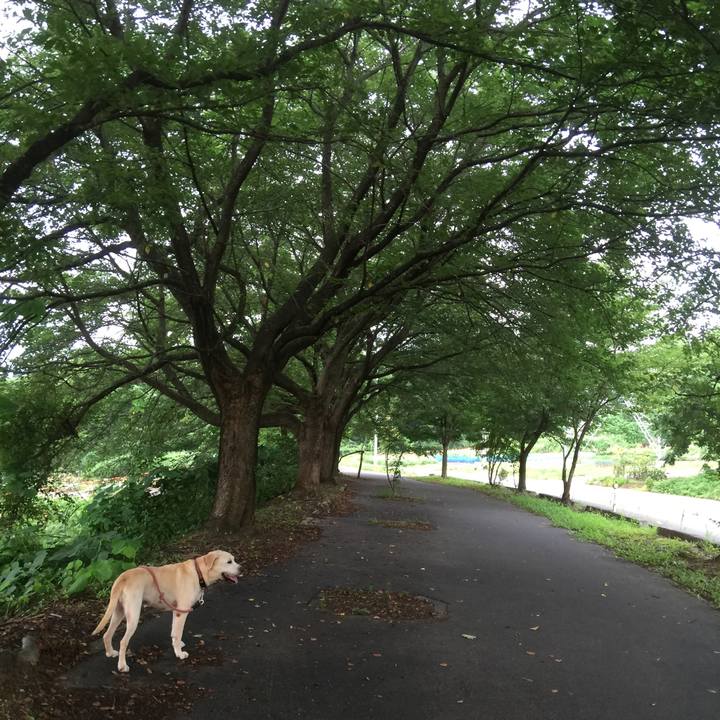 3c24ff42 4c46 4a26 8cf2 4863cc6bd09a