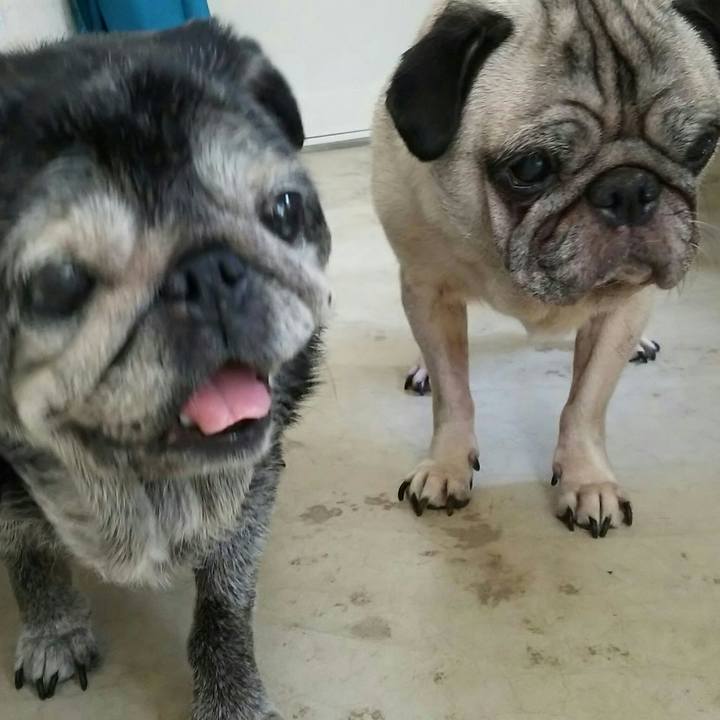 3c25d89b 59ac 4158 a0a2 d85e16a5ddc0