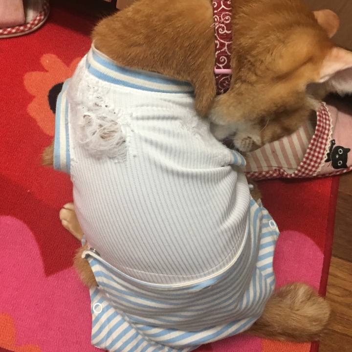 3c2648f0 eaa3 41d8 ae6f a4937cd347e0