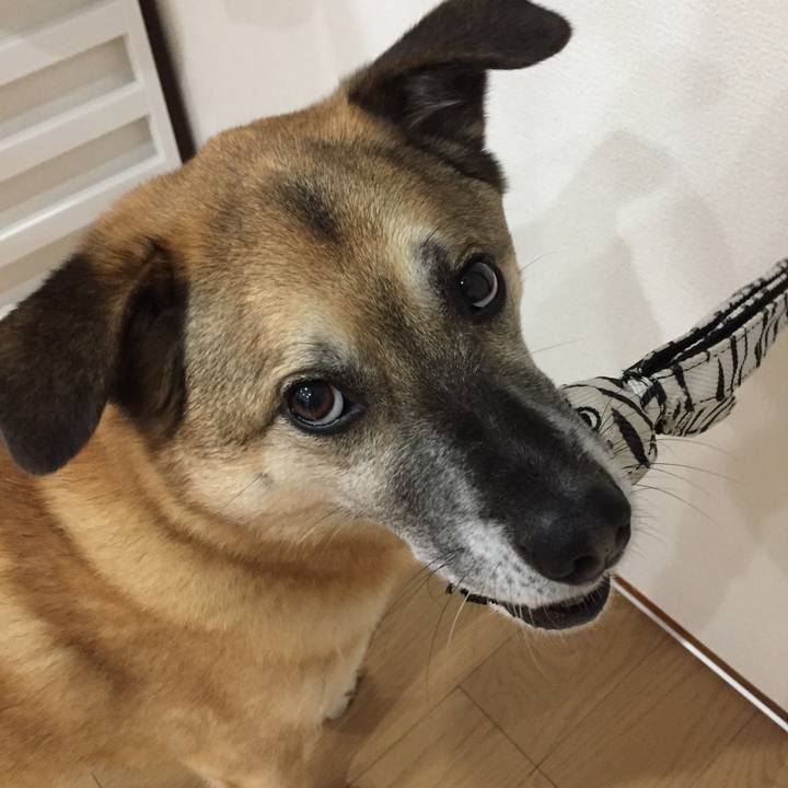 3c269d4d 6ae6 4b3f ba93 6b4073e7c0a3