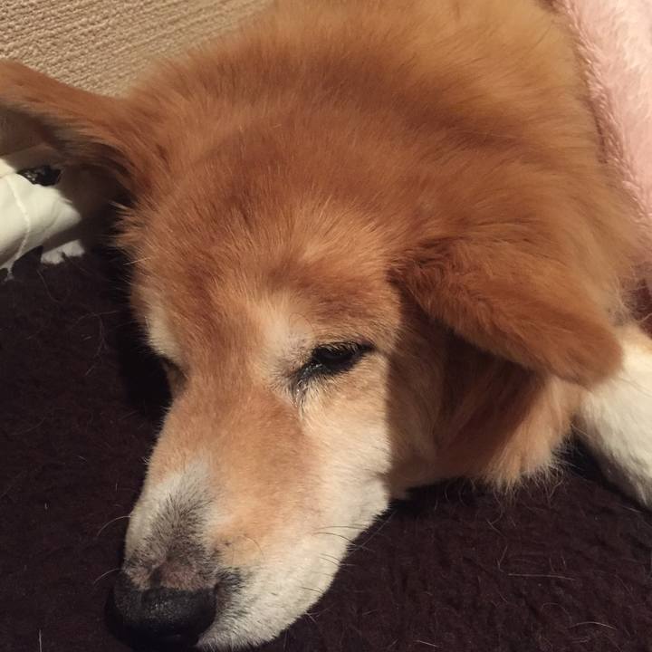 3c26edb9 eb56 4bd4 bbdf 32c6199ae07a