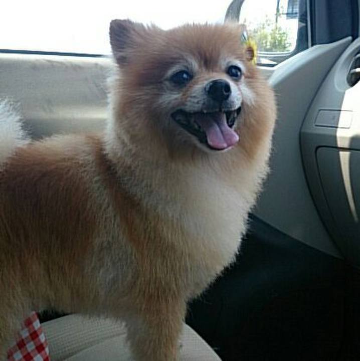 3c26f7ea 12b3 4b7c 96da a1e0a71d07a1