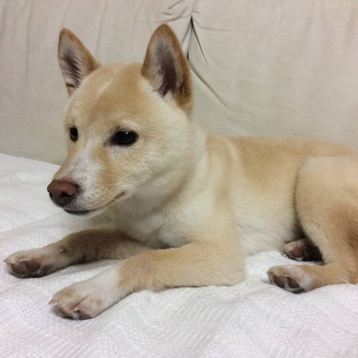 3c278c85 0afd 4ca7 9b64 7d238da15f95