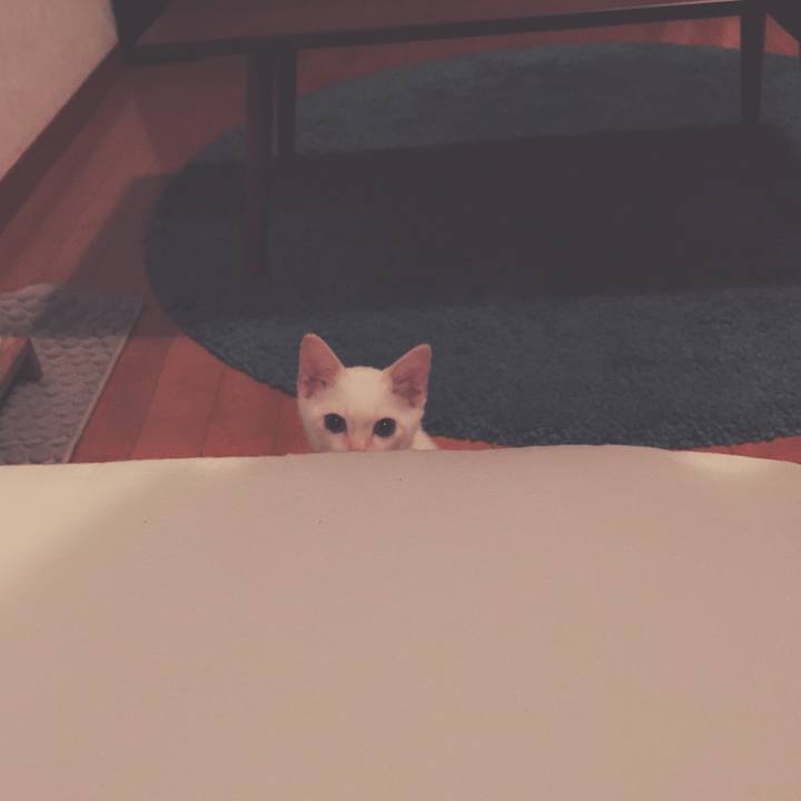 3c282179 2dc3 4d16 b849 55f78bd759ce